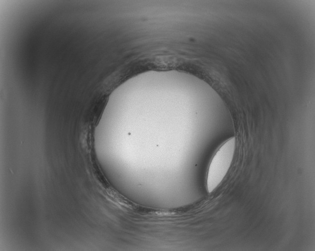 X0000075840233200609150920