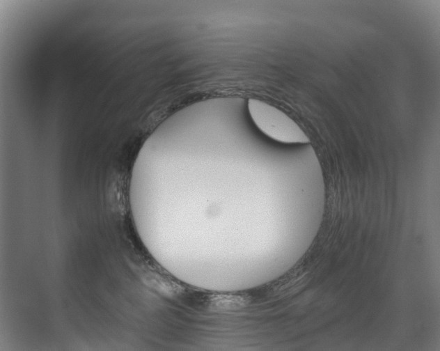 X0000075840234200609150920