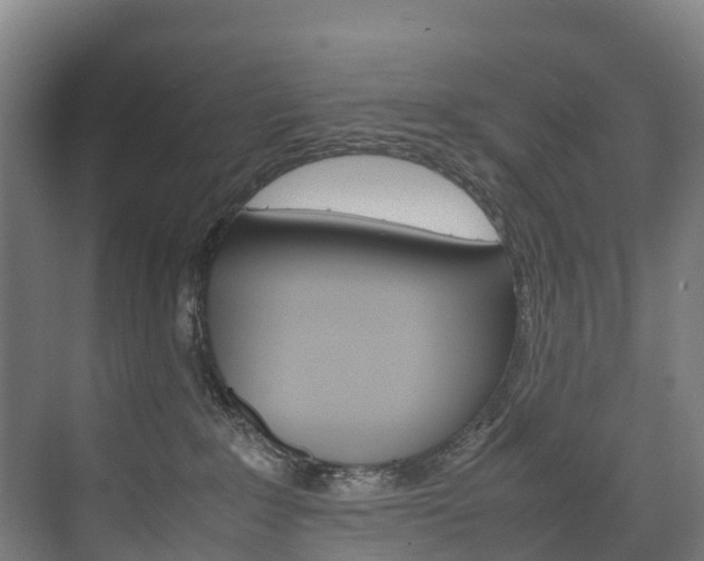 X0000075840235200609150920