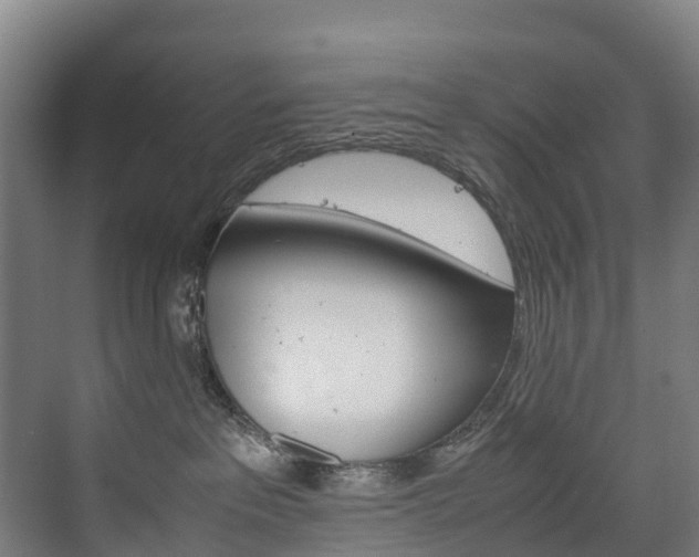 X0000075840237200609150920