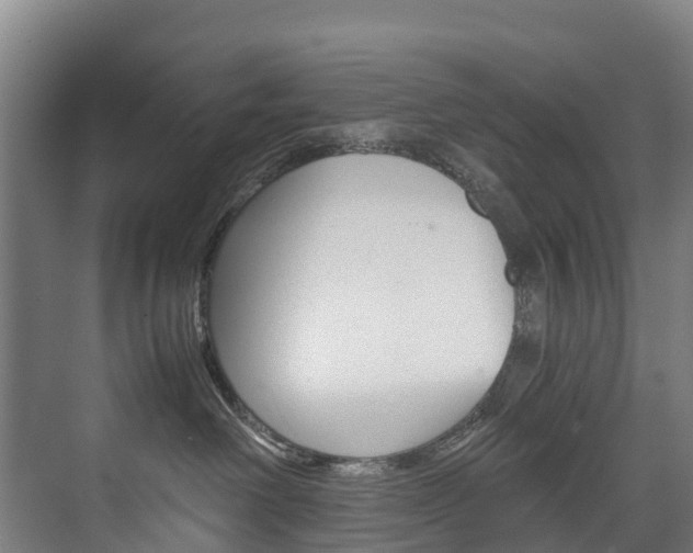 X0000075840238200609150920