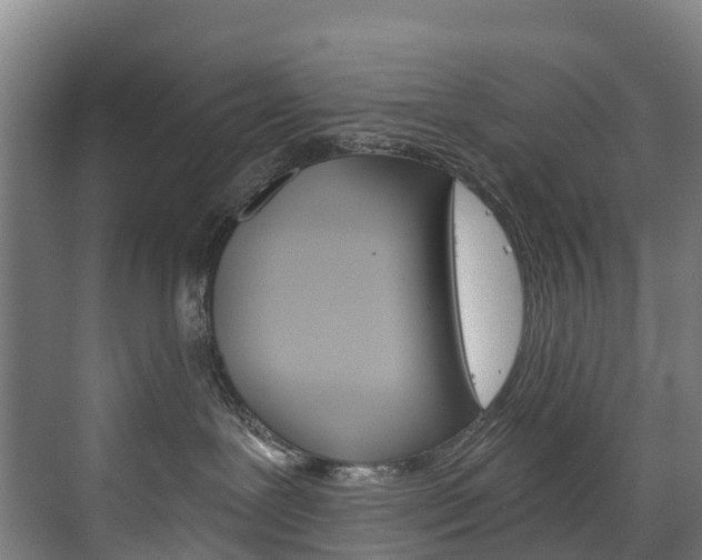 X0000075840239200609150920