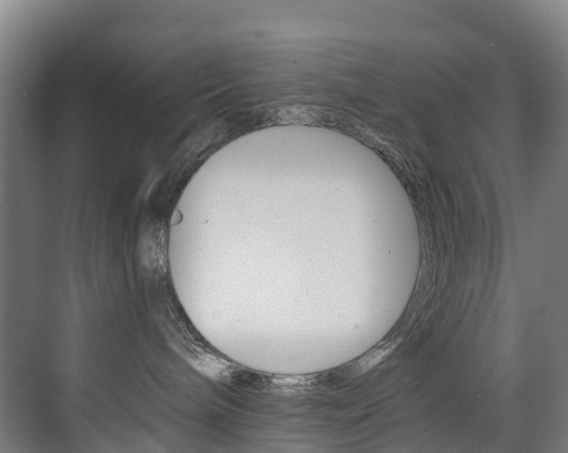 X0000075840240200609150920