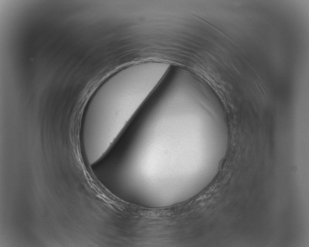 X0000075840241200609150919