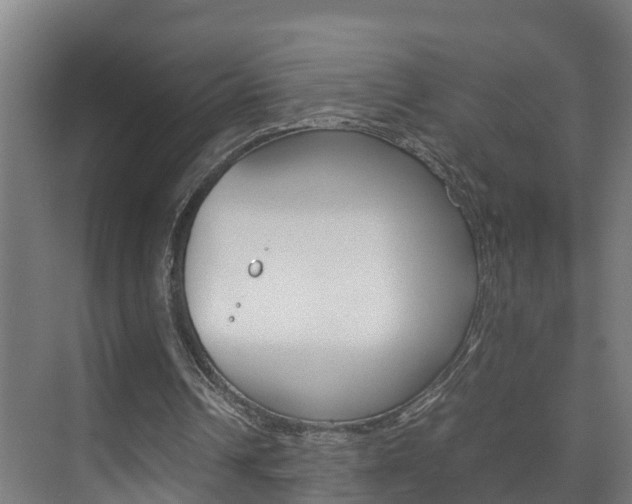 X0000075840242200609150919