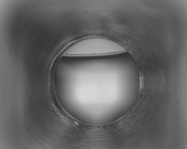 X0000075840243200609150919