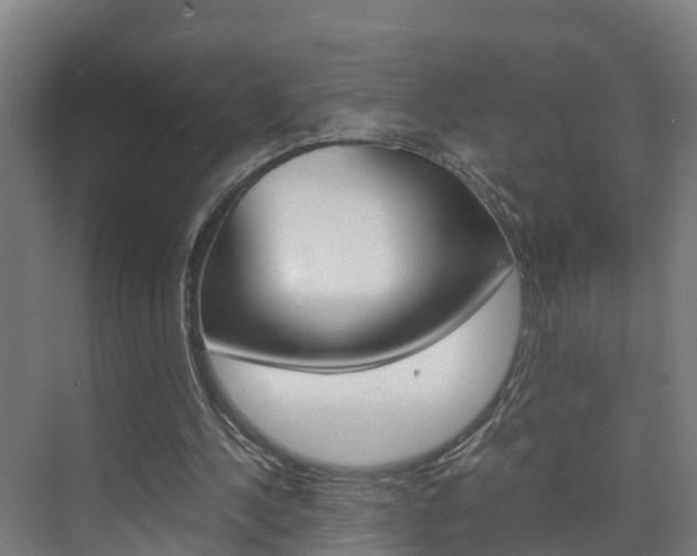 X0000075840244200609150919