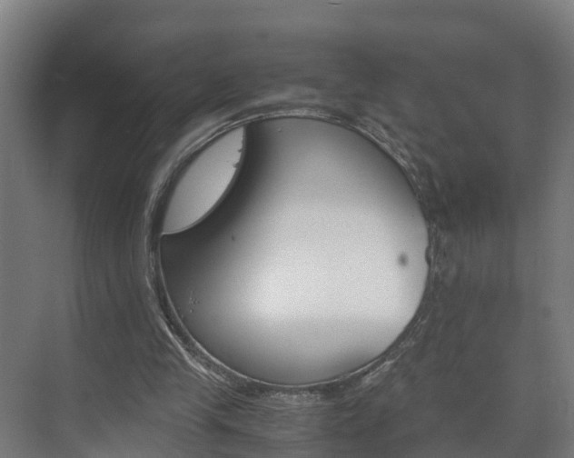 X0000075840245200609150919