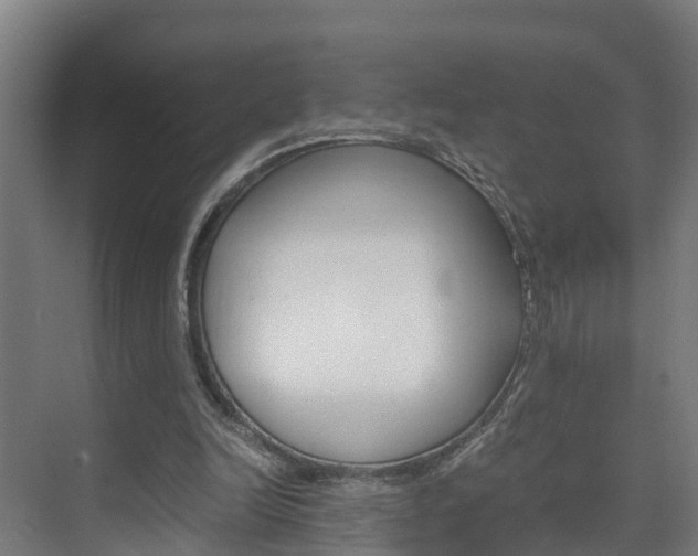 X0000075840246200609150919