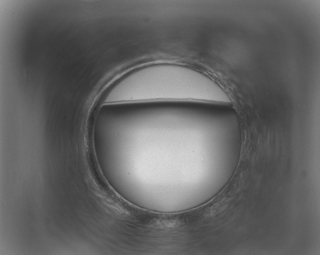 X0000075840247200609150919