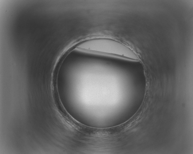 X0000075840248200609150919