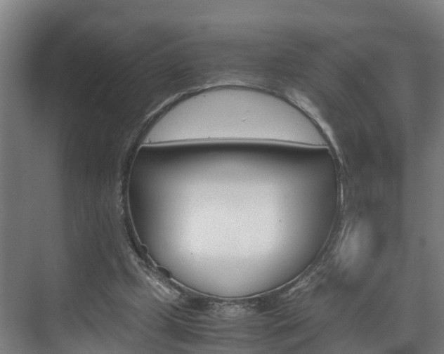 X0000075840249200609150919