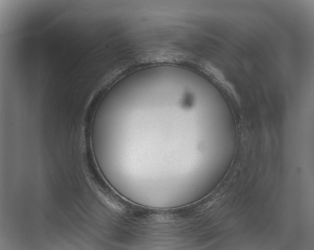 X0000075840250200609150919