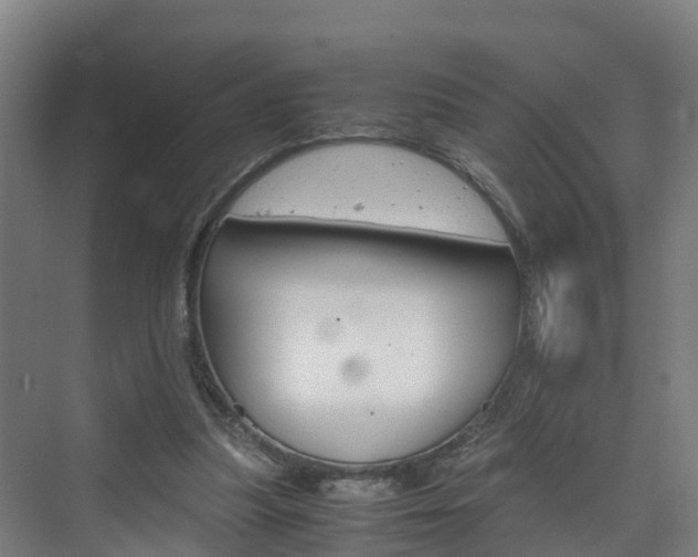 X0000075840251200609150919