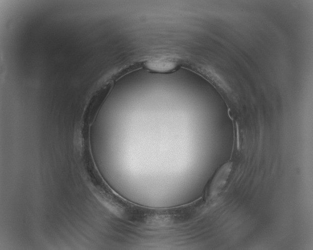 X0000075840252200609150919