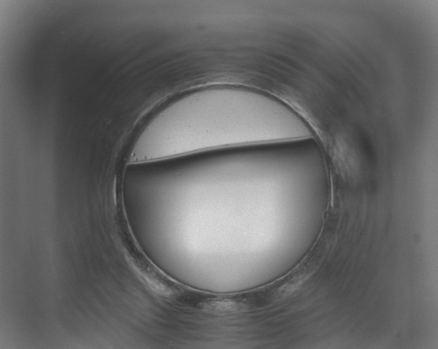 X0000075840253200609150919