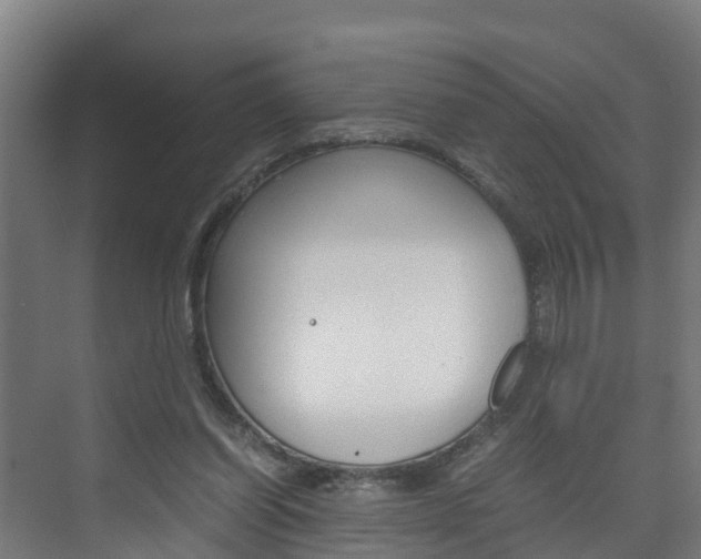 X0000075840254200609150919