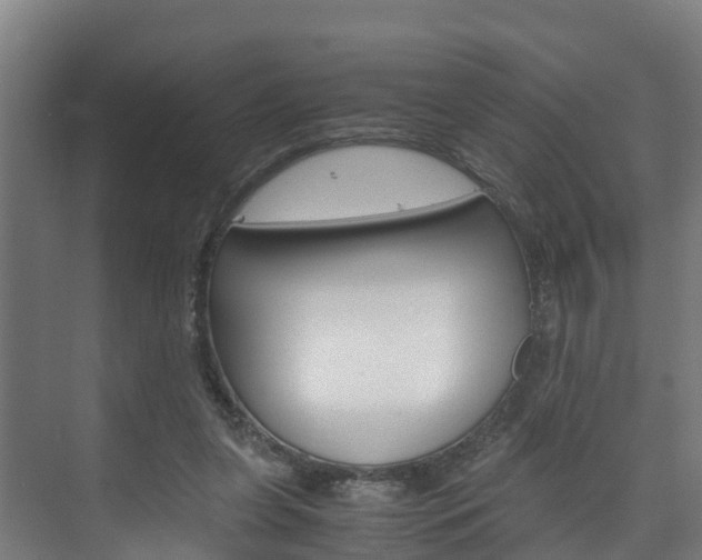 X0000075840255200609150919