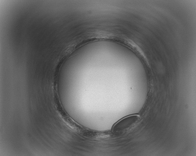 X0000075840257200609150919