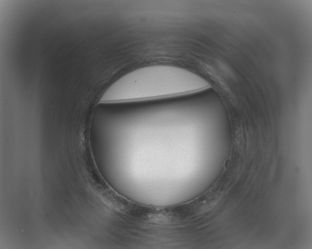 X0000075840259200609150919