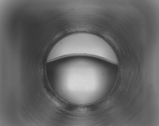 X0000075840260200609150919