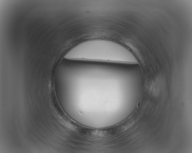 X0000075840261200609150919