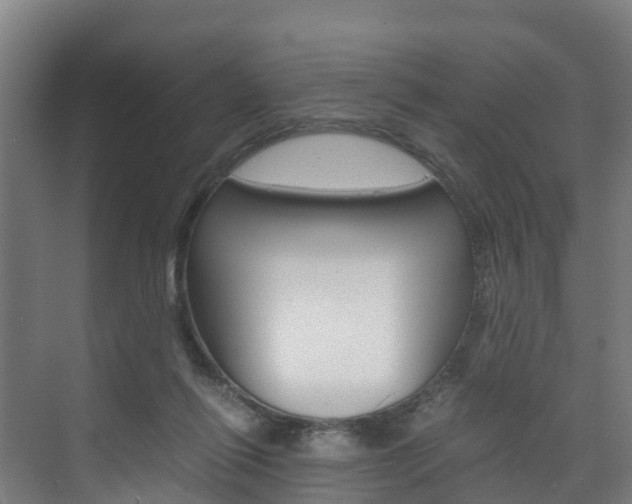 X0000075840262200609150919