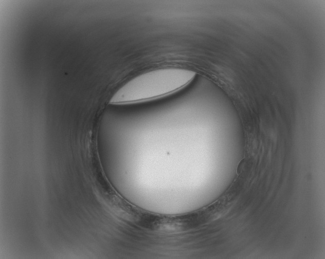 X0000075840263200609150919