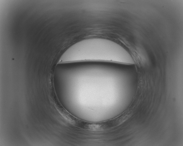 X0000075840265200609150919