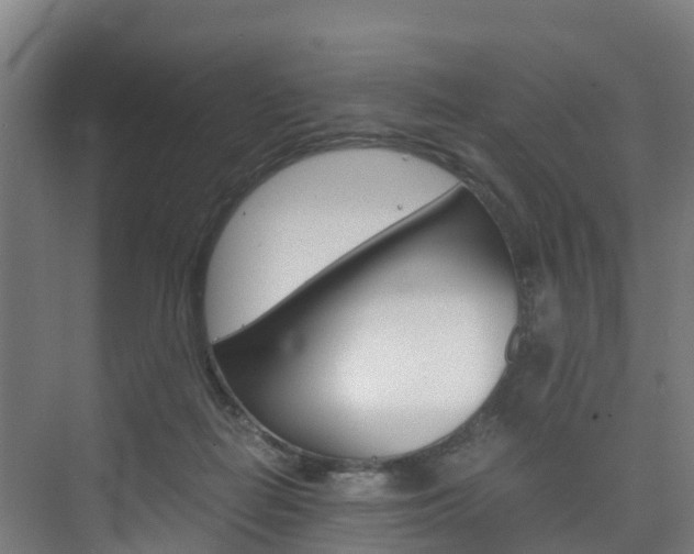 X0000075840266200609150919