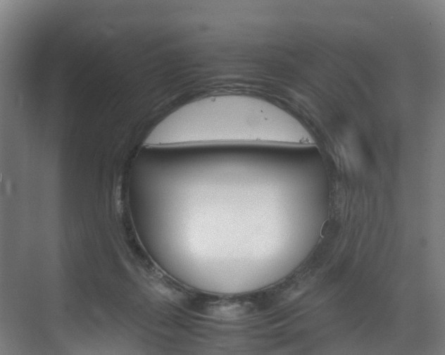 X0000075840267200609150919