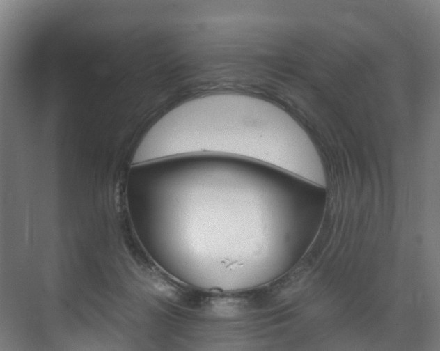 X0000075840268200609150919