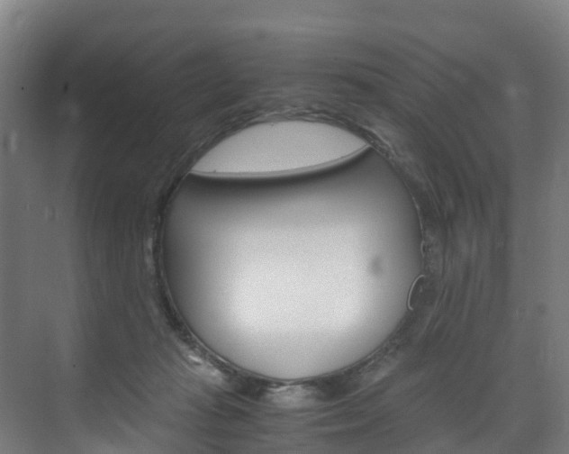 X0000075840269200609150919