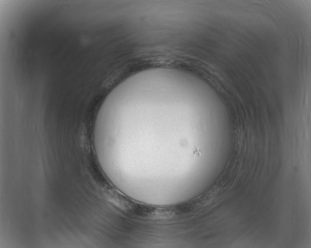 X0000075840270200609150919