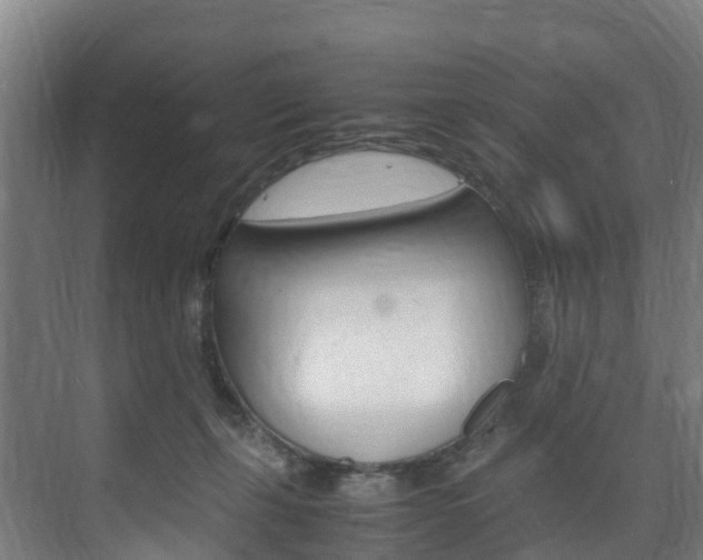 X0000075840271200609150919