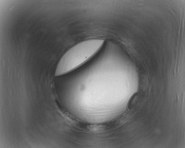 X0000075840273200609150919