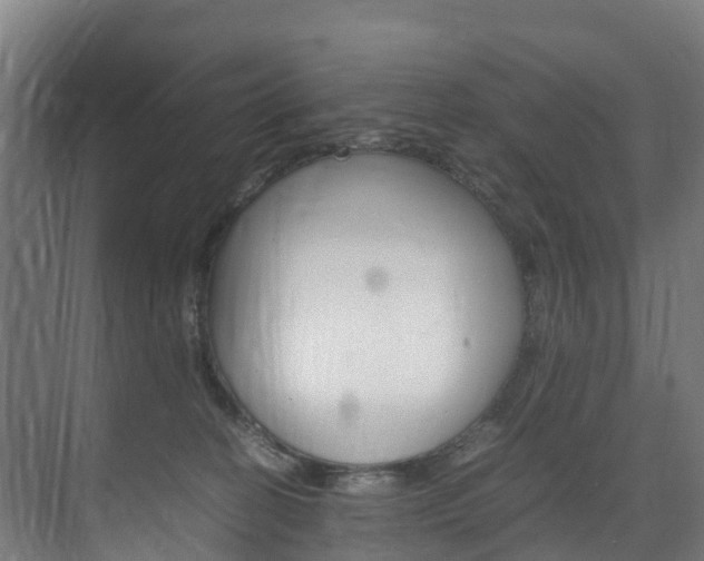 X0000075840274200609150919