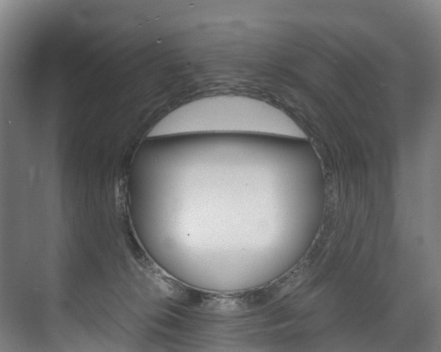 X0000075840276200609150919