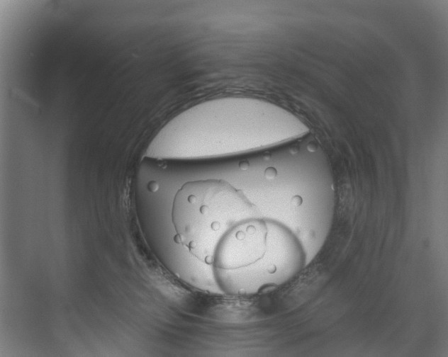 X0000075840278200609150919