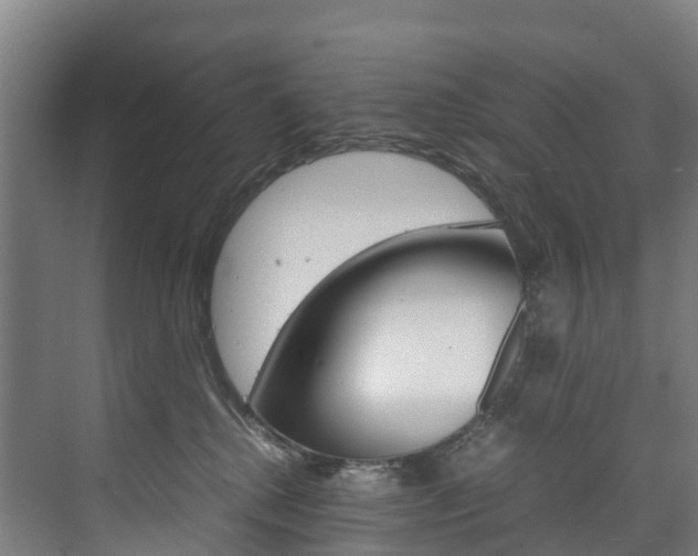 X0000075840280200609150919