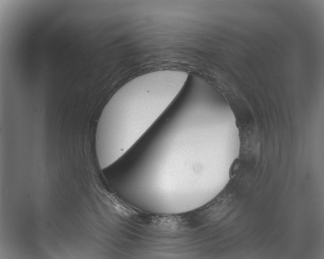 X0000075840282200609150920