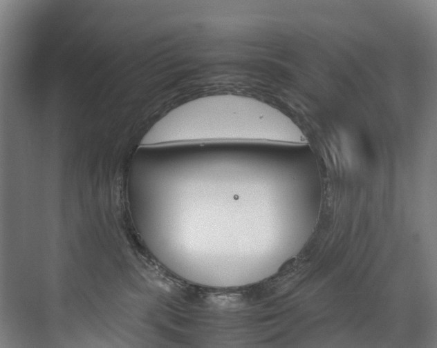 X0000075840283200609150920