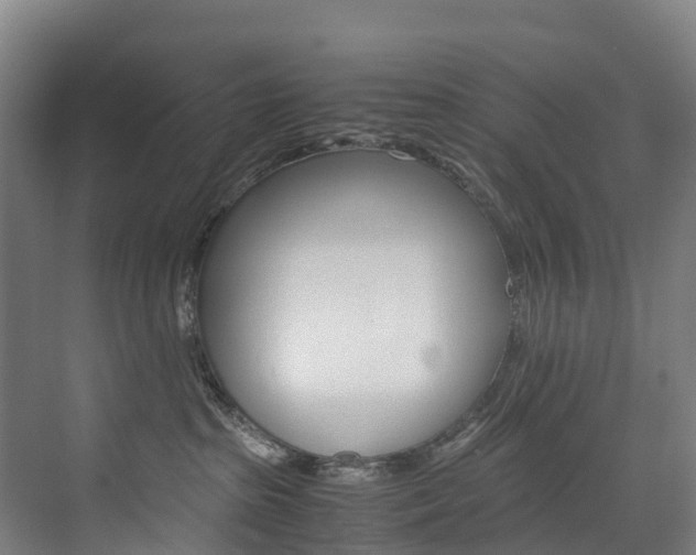 X0000075840285200609150920