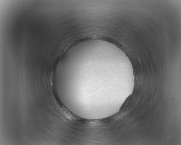 X0000075840286200609150920