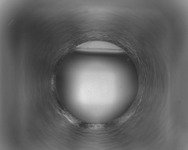 X0000075840288200609150920