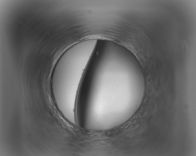 X0000075840289200609150919