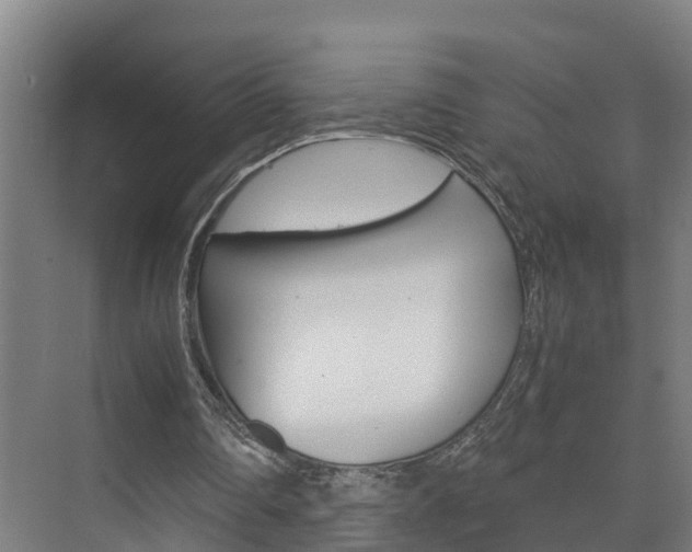 X0000075840290200609150919