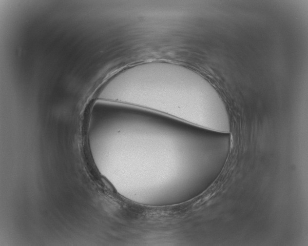 X0000075840291200609150919