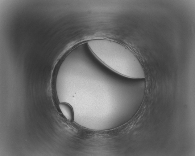 X0000075840292200609150919