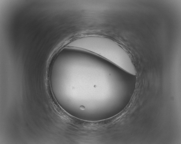 X0000075840293200609150919